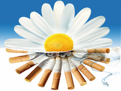 Приглашаем бобруйчан присоединиться к акции «Беларусь против табака»