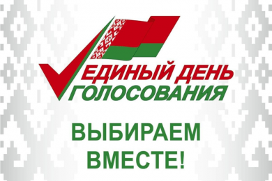 Итоги выборов депутатов  Палаты представителей Национального собрания Республики Беларусь восьмого созыва