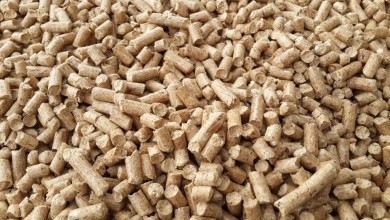В Бобруйске появится новое лесопильно-пеллетное производство