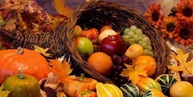 Ярмарки сельскохозяйственной продукции в сентябре – ноябре пройдут в Бобруйске