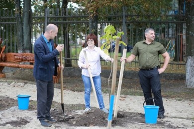 Аллею деревьев заложили в Бобруйске сотрудники ОАО «ФанДОК». Теперь там будут расти катальпы