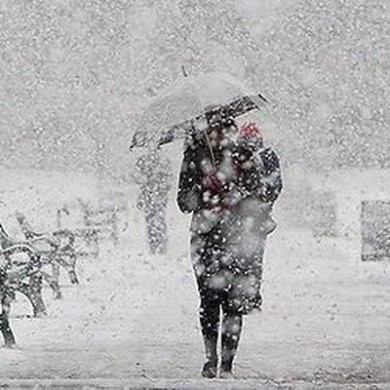Администрация Ленинского района призывает жителей оказать содействие и помощь в расчистке территорий от снега