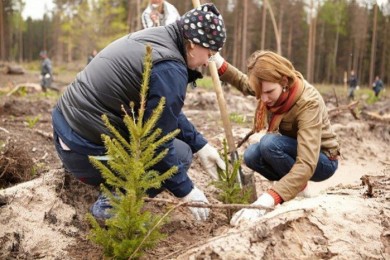 «Неделя леса» стартует в Могилевской области - можно будет посадить деревья и убрать мусор