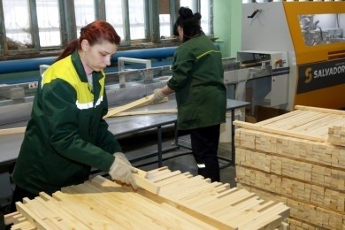 «Могилевдрев» и «ФанДОК» войдут в состав нового деревообрабатывающего холдинга