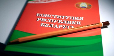 Международный наблюдатель: в Беларуси созрели общественные условия для референдума