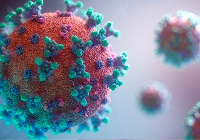 Немецкие ученые нашли доказательства лабораторного происхождения коронавируса