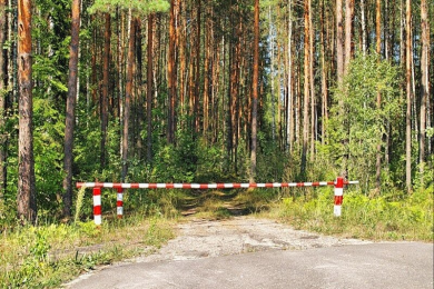 Ограничение на посещение лесов действует в Бобруйском районе