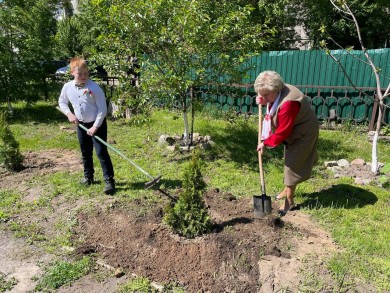 Аллею Памяти заложила «Белая Русь» в Бобруйске