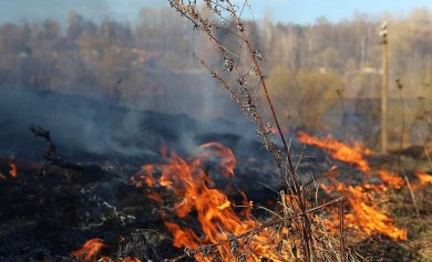 Пал травы: последствия заблуждений