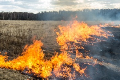 Безопасный порядок