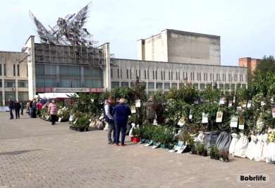 Осенняя ярмарка в Бобруйске: где и когда пройдет