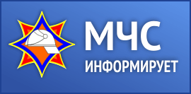 На территории Бобруйска и Бобруйского района с 25 октября по 2 ноября пройдут профилактические мероприятия.