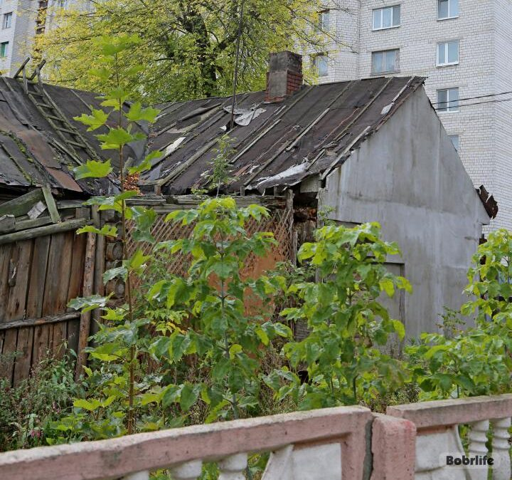 О пустующих домах, участках и бесхозных авто можно сообщить на горячую линию 15 августа