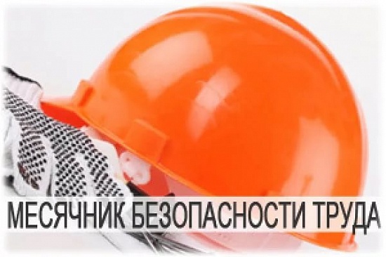 С 01.09.2025 по 30.09.2025 в Ленинском районе г. Бобруйска пройдет месячник безопасного труда при производстве лесосечных работ и работ и работ по деревообработке. 