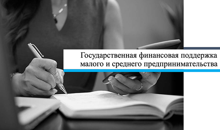 Субъектам малого и среднего предпринимательства Бобруйска оказывается государственная финансовая поддержка