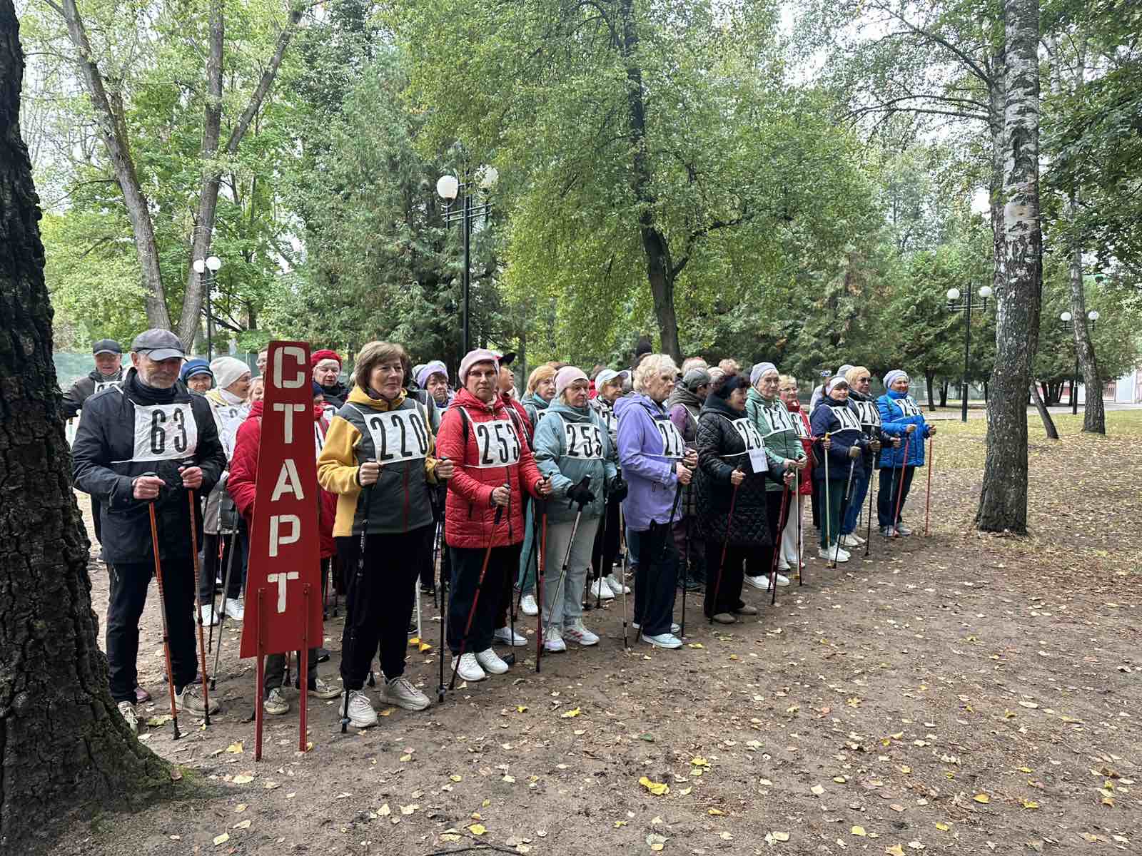 Марафон по скандинавской ходьбе