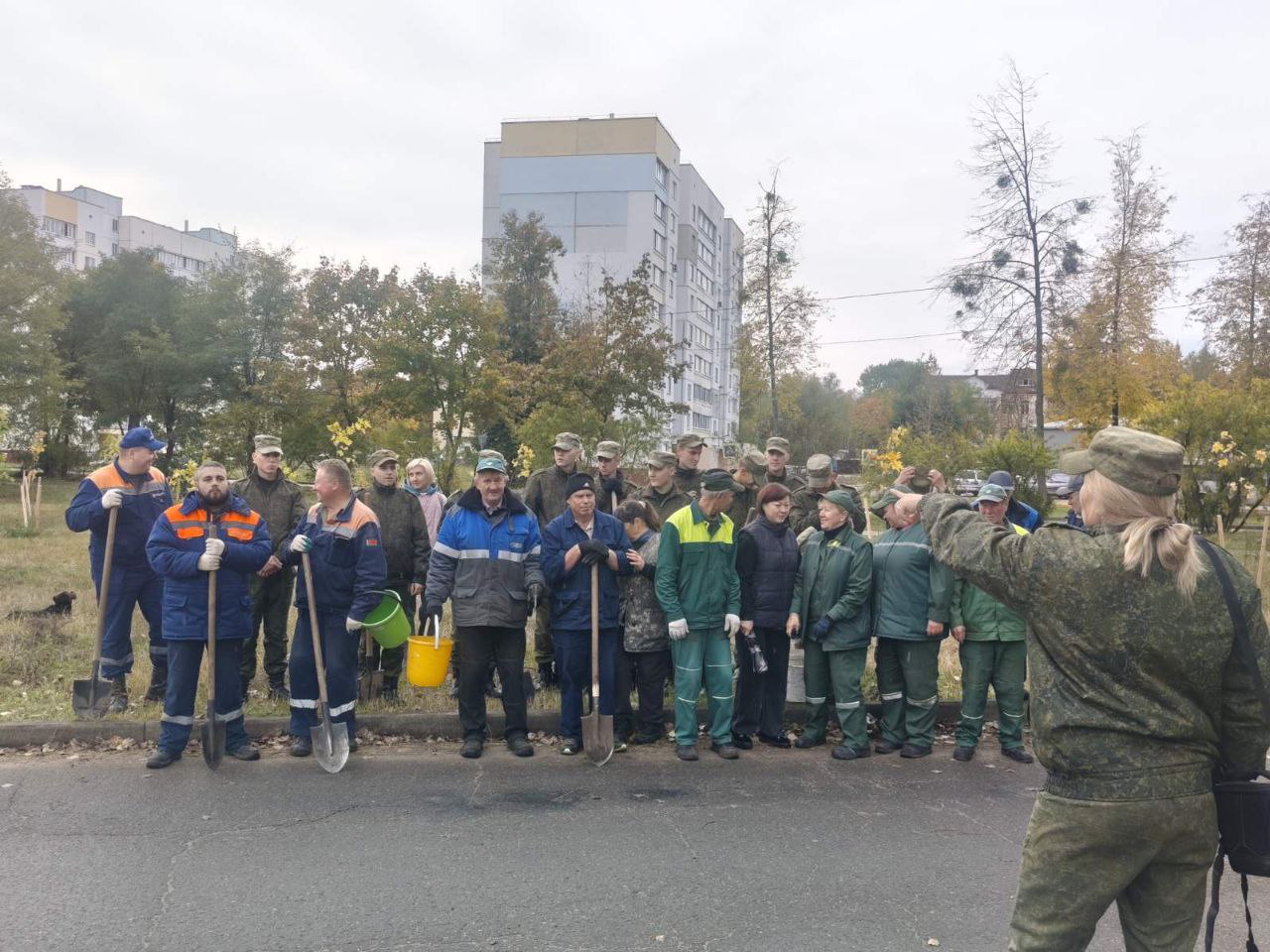 11 октября Министерство природных ресурсов и охраны окружающей среды проводит в Беларуси единый день озеленения.