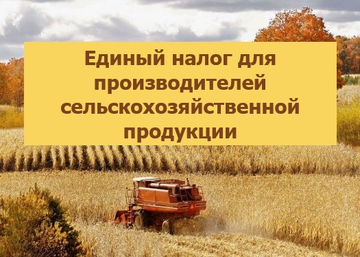 В ходе проверки, проведенной в связи с ликвидацией организации, выявлена очередная схема незаконной минимизации налоговых обязательств 