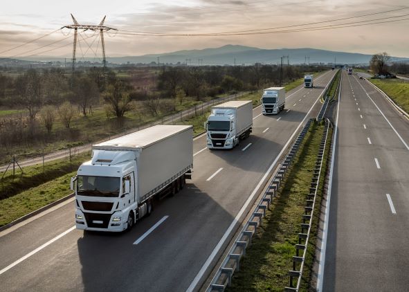 Свыше 1,5 млн рублей налогов недоплатила в бюджет частная транспортная компания из Осиповичей