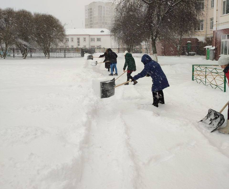 Не только спецтехника, но и человеческие руки. Ликвидация последствий снежного шторма в Бобруйске стала общим делом