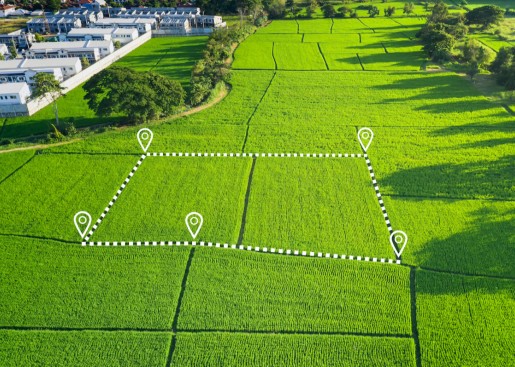 Об исчислении и уплате организациями в 2026 году арендной платы за земельные участки