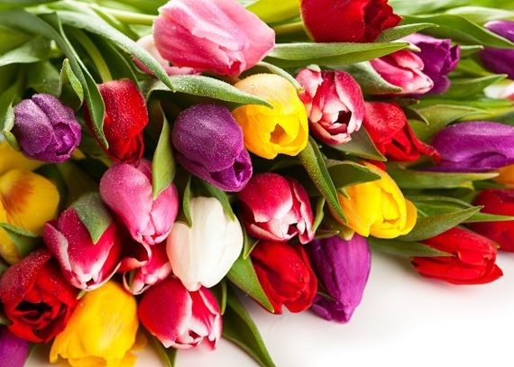 Вниманию физических лиц, осуществляющих реализацию самостоятельно выращенной цветочной продукции с уплатой налога на профессиональный доход