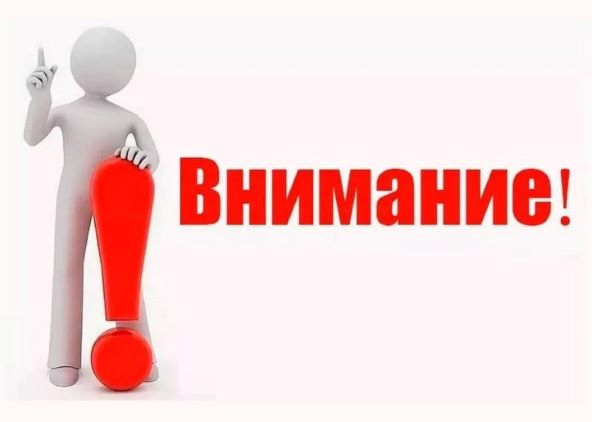 В отношении пива солодового установлен запрет на ввоз из недружественных стран и реализацию на территории Республики Беларусь