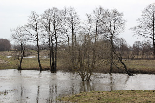 Избежать заболеваний, Или что нужно знать о паводке