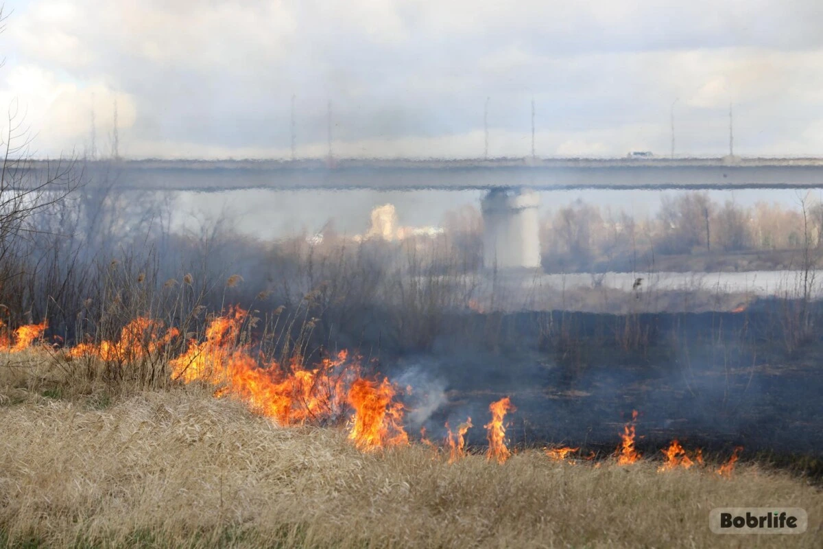 Не допустить пожара. Как правильно сжигать мусор на участке