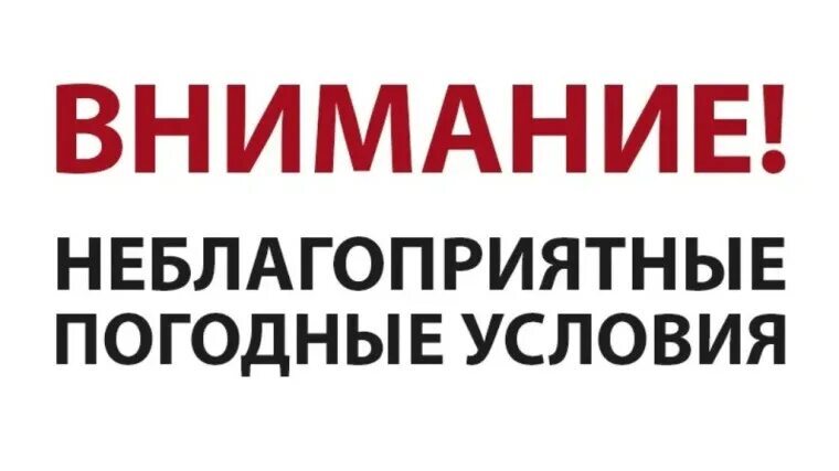 Домашнее насилие: терпеть — значит подвергать себя опасности