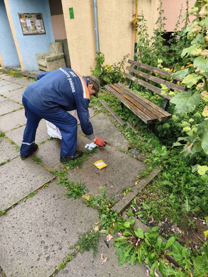 В организациях Ленинского района г. Бобруйска в рамках проведения санитарного дня приведены в порядок прилегающие и закрепленные территории.