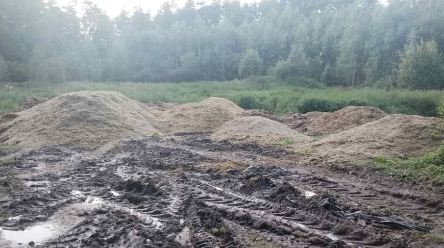 В Новогрудском районе работники сельхозпредприятия вывезли в лес более 1,6 тонны зерна